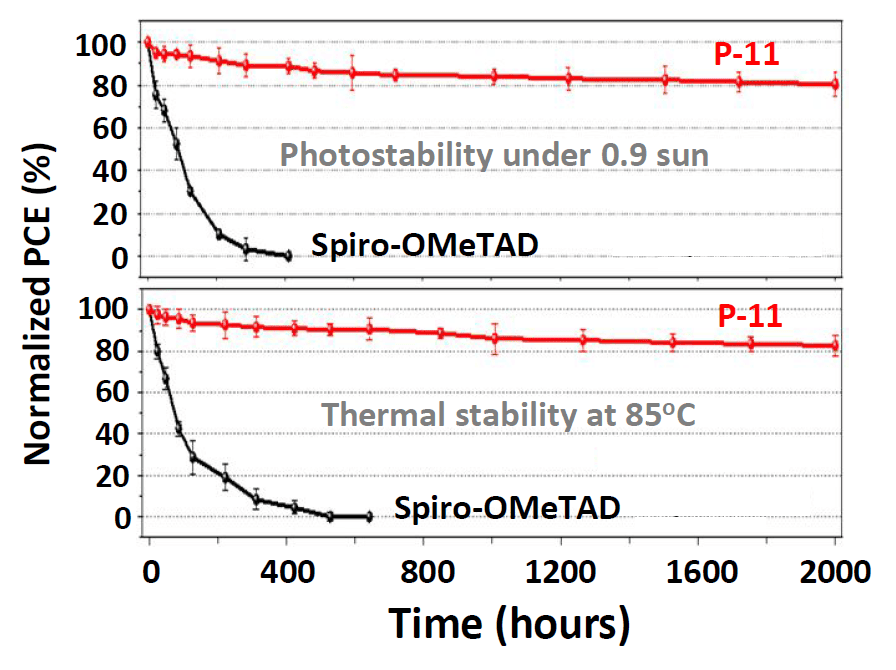 P11_Stability