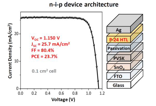 P24_NIP_JV_Structure