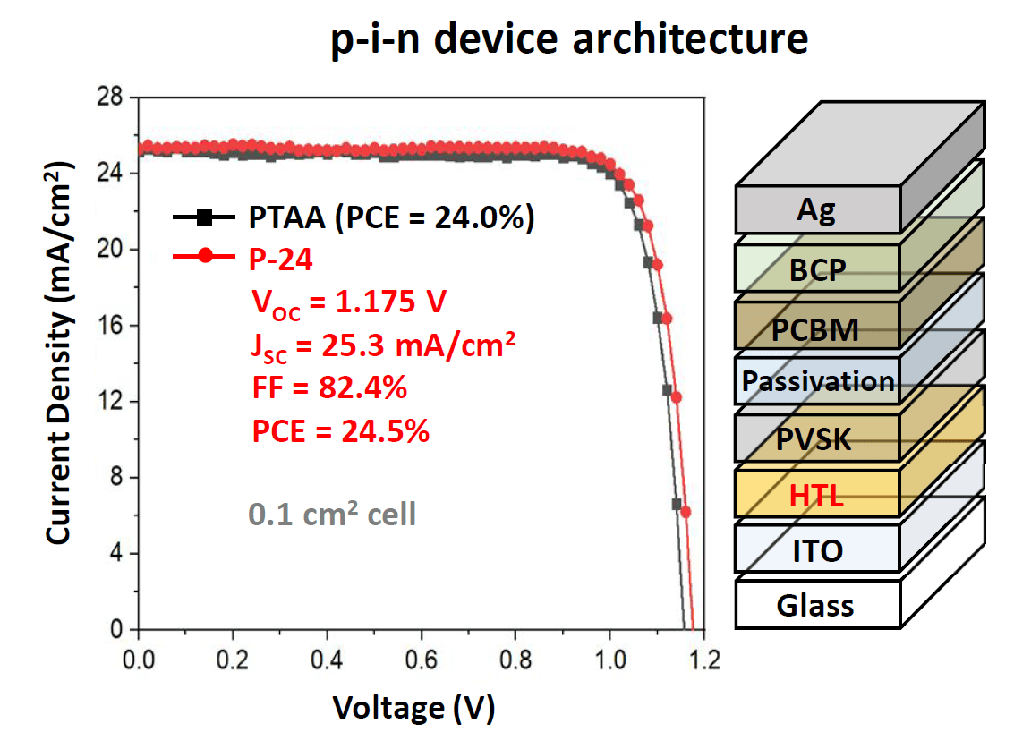 P24_PIN_JV_Structure